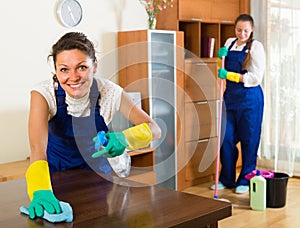 Professional cleaners make cleaning