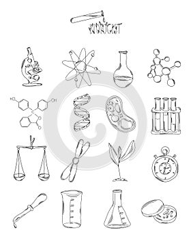 Professional collection of icons and elements. The biological set of hand drawn elements, doodles isolated on white background. Ve