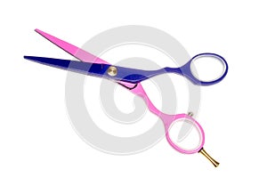 Professional colored haircut scissors isolated on white background