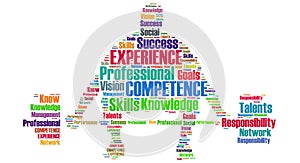 Professional competence and experience