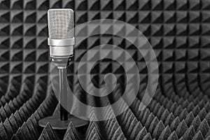Professional condenser microphone  on white.