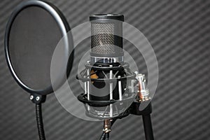 Professional condenser studio microphone.