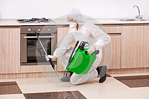 The professional contractor doing pest control at kitchen