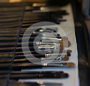 Professional cosmetic brush set