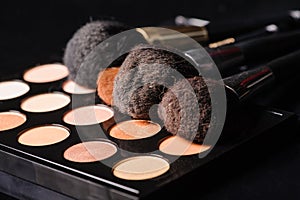 Professional cosmetics for make up