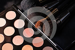 Professional cosmetics for make up