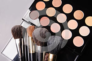 Professional cosmetics for make up