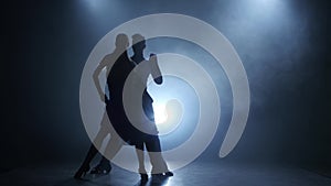 Professional couple of salsa dancers posing in smoky studio, silhouette