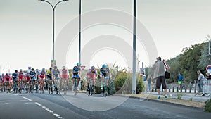 Professional cycling peloton during a night race