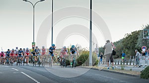 Professional cycling peloton during a night race