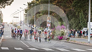 Professional cycling peloton during a night race