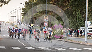 Professional cycling peloton during a night race