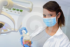 Professional dentist woman explaining correct tooth brushing on dental model