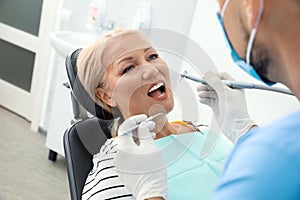 Professional dentist working with patient