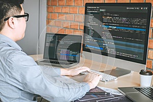 Professional Developer programmer working a software website design and coding technology, writing codes and database in company