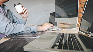 Professional Developer programmer working a software website design and coding technology, writing codes and database in company