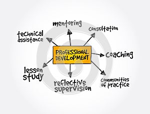 Professional development mind map business concept