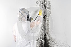 A professional disinfector in overalls processes the walls from mold. Removal of black fungus in the apartment and house. Aspergil