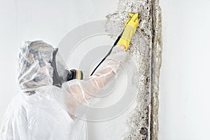 A professional disinfector in overalls processes the walls from mold. Removal of black fungus in the apartment and house. Aspergil