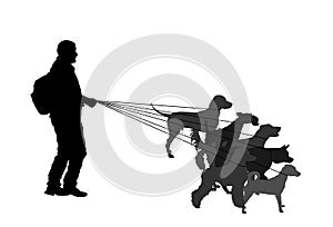 Professional dog walker man on street with many dogs on leash vector silhouette. Walking the pack/array of dogs illustration.