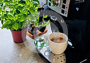 Professional coffee machine for home use. At the kitchen