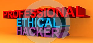 Professional ethical hacker
