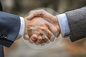 Professional Ethics and Integrity in Business Decisions