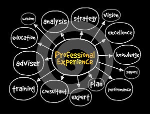 Professional experience mind map, business concept for presentations and reports