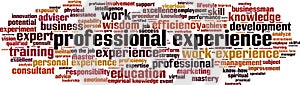 Professional experience word cloud