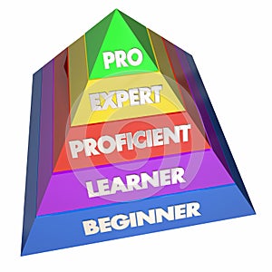 Professional Expert Learner Experience Pyramid