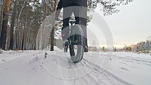 Professional extreme sportsman biker riding fat bike in outdoors. Cyclist ride in winter in snow field, forest. Man does