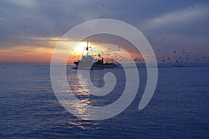 Professional fishing boat seagull on sunset