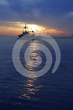 Professional fishing boat seagull sunset sunrise