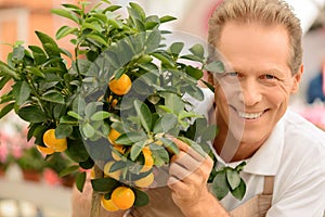 Professional florist working in the greenhouse