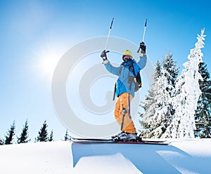 Professional freeride skier holding ski poles raising his arms in the air on the top of the mountain