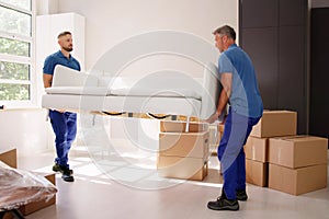 Professional Furniture Mover And Delivery