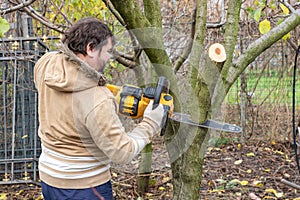 Professional gardener cuts branches on a tree, with using electric battery powered chain saw. Season pruning. Trimming trees with