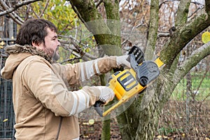 Professional gardener cuts branches on a tree, with using electric chain saw. Season pruning. Trimming trees with chainsaw in