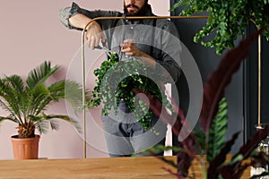 Professional gardener cutting leaves of plant while working in t