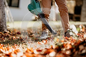 Professional male gardener doing landscaping chores, close up of garden works photo