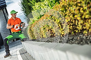 Professional Gardener with Shrub Trimmer Shaping Decorative Plants