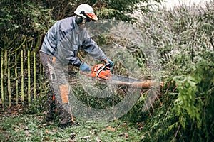 Professional gardener using chainsaw