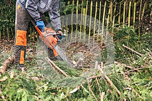 Professional gardener using chainsaw