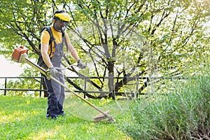 Professional gardener using an edge trimmer in home garden