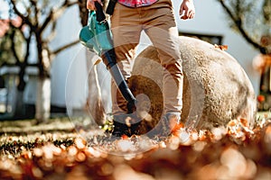 Professional gardener using heavy duty leaf blower in garden