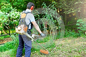 Professional gardener using an hedge clippers in home garden