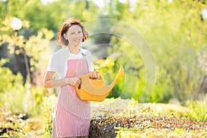 Professional gardener woman performs watering of hedge in garden, summer sunlight