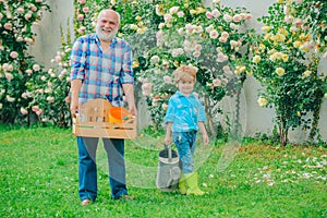 Professional Gardener at Work. Gardener cutting flowers in his garden. Farm family. Grandfather with his grandson