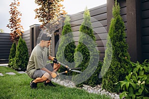 Professional Gardener at Work. Gardener Trimming Garden Plants. Topiary Art.