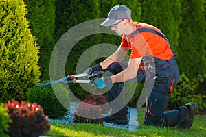 Professional Gardener at Work photo